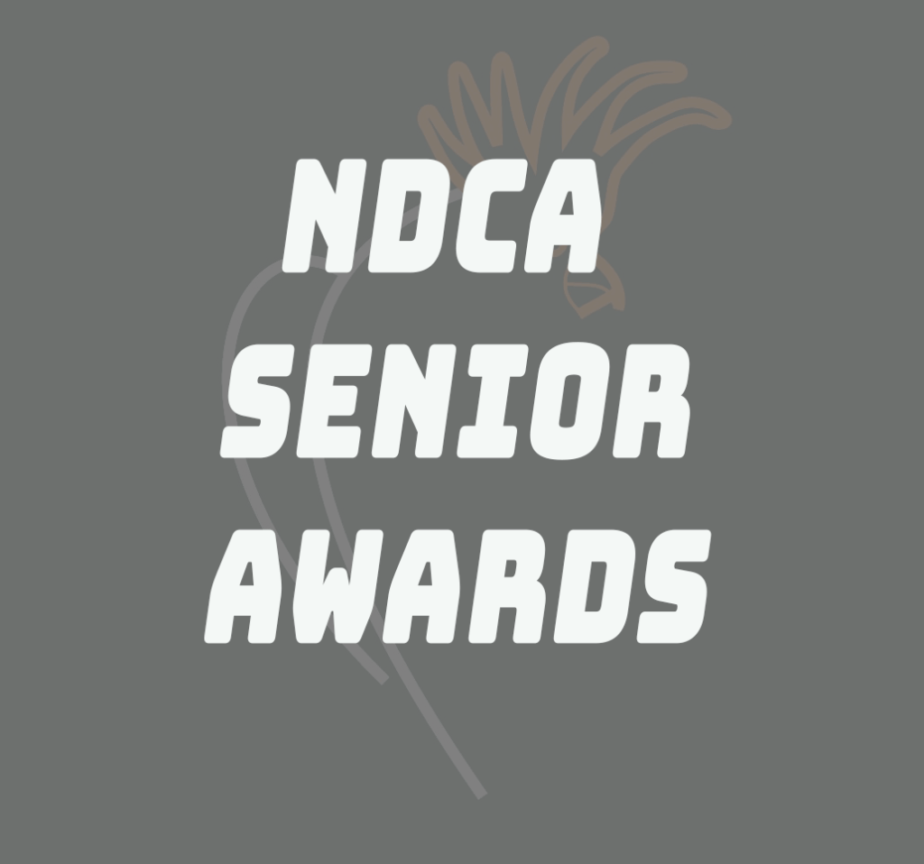 Senior's Awards