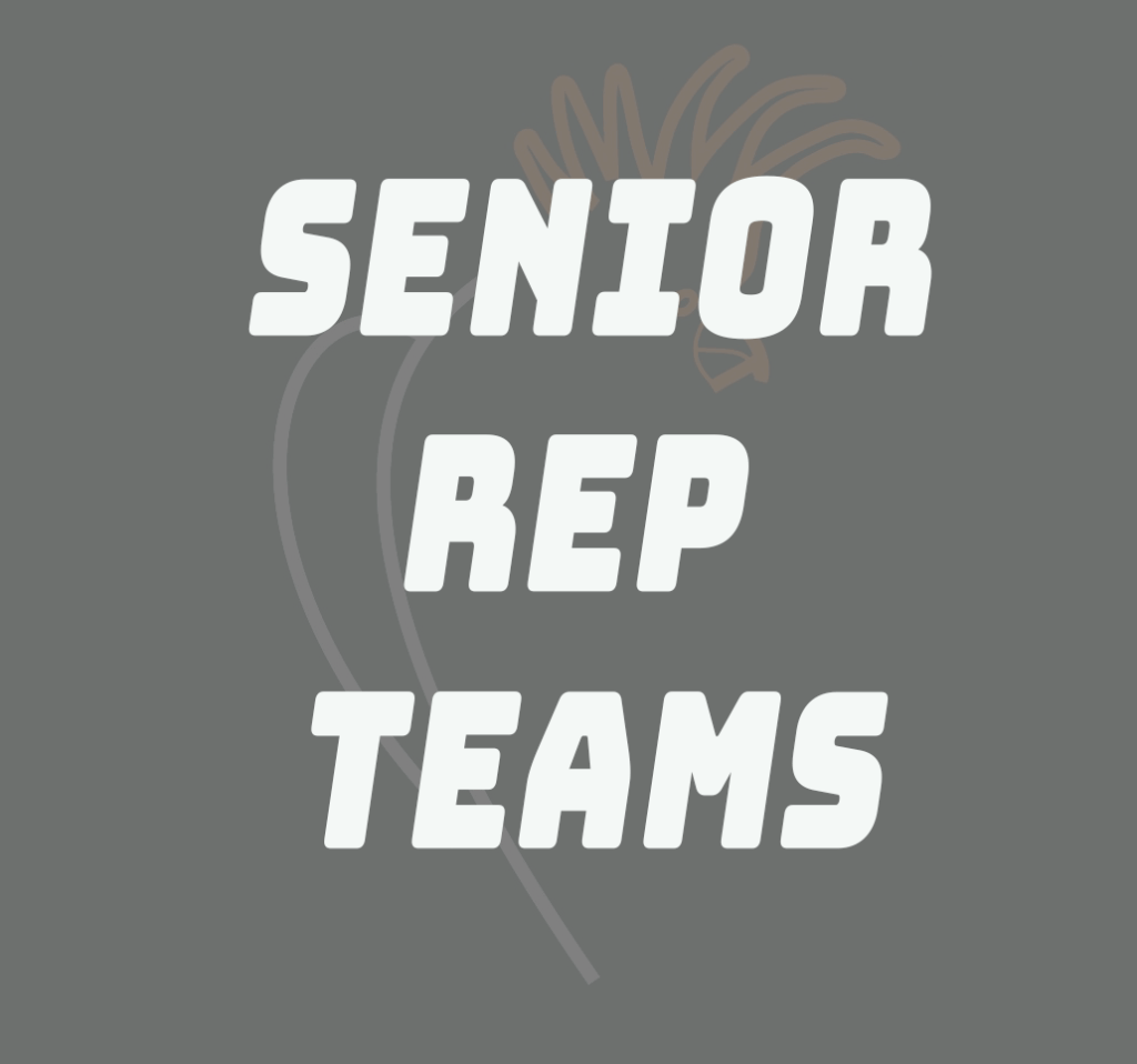 Senior's Rep Cricket